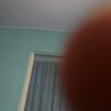 Pedro ho - @gskhsvks - TikTok