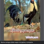 Pedro Holguin - @pedro.holguin.564 - Instagram