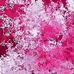 Pedro Howell - Facebook