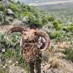 DON PEDRO HUNTING - @donpedrohunting - Instagram