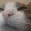 PedroHunt - @abbyewwpz8q - TikTok