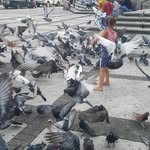 pedro maria paulino inoa - @pedromariapaulino - Instagram