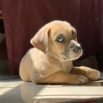 pedro jurado - @pedr.ojurado - Instagram