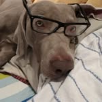 Pedro Lahoz Lecina - @lahozlecina - Instagram