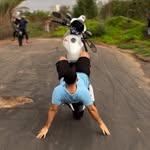 Pedro Luan  - @pedroluan.46 - Instagram