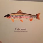 pedro manrique chacín - @ppmch - Instagram
