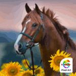 pedro manriquez - @holaquetal.ss - Instagram