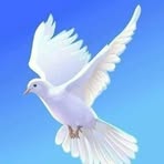 Pedro Manriquez Lopez - Facebook