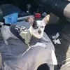 Pedro Manzano - @pedro.manzano5 - TikTok