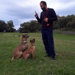 José pedro marrón Sánchez - @josepedromarron - Instagram