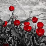 Pedro Gonzalez Marron - @pedrogonzalezmarron - Instagram