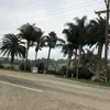 Pedro Maya - @pedromaya19 - TikTok