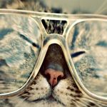 Pedro Mayen - @pedro.mayen.735 - Instagram