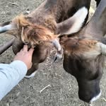 Pedro Mazón - @mazo_mazo718 - Instagram
