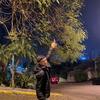 Pedro/mazon - @pedro_briit0 - TikTok