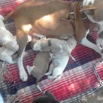 Pedro Mendiola - @mendiola3834 - Instagram