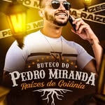 Pedro Miranda - @pedromirandaoficial_ - Instagram