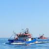 Pedro Moscoso Torres - @pedro.moscoso.tor - TikTok