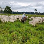 Pedro Negrete - @pedro.negrete.796 - Instagram