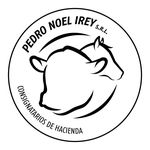 Pedro Noel Irey S.R.L. - @pedronoelireysrl - Instagram