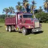 Pedro Nolasco - @pedro.nolasco358 - TikTok