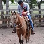 Pedro Olea - @pedro_0lea - Instagram