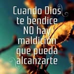 pedro oropeza - @pedrooropeza311 - Instagram