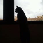 Pedro De La Ossa - @plissken567 - Instagram