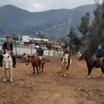 pedro.ossa.r - @pedro_ossa_r - Instagram