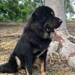 Pedro Villa Verde Pages - @pvvp1978 - Instagram