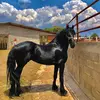 Pedro Parada - @pedro_parada18 - TikTok
