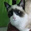 pedrohernndezesco - @pedroparker412 - TikTok