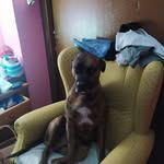 Pedro Pascua Rodriguez - @pascuarodriguez - Instagram
