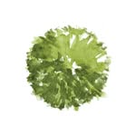 Pedro Pascual | Jardinería Profesional Mallorca - @pedropascualjardineria - Instagram