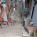Pedro Pate - Facebook
