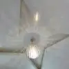 Pedro Patete - @pedropatete7 - TikTok