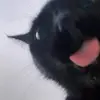 PedroPatton - @osvalpxpkky - TikTok