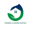 pedrophillips1 - @pedrolandscaping - TikTok