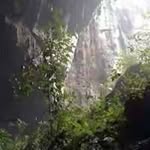Pedro Pinzon - @pedro.pinzon.507679 - Instagram
