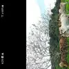 Pedro Pinzon - @pedro.pinzon6 - TikTok
