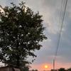 pedro pol - @pedro_pol_1996 - TikTok