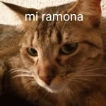 Pedro Posada - @pepo2208 - Instagram