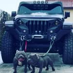 Pedro Posada - @posada.pedro - Instagram