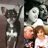 Pedro Power - @pedropower1 - TikTok