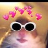 𝑃𝐸𝐷𝑅𝑂 𝑄𝑈𝐸𝐸𝑁 👸🏾👑 - @its_dorcas_xxx - TikTok