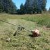 Colegio Pedro De Valdivia, Villarrica- Lican Ray Km 3 - Facebook