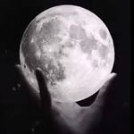 علاء الدين علاء - @pedro.reed.50 - Instagram