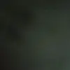 Pedro Renner - @pedro.renner2 - TikTok