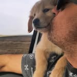 Pedro Ripa - @pedro.ripa - Instagram