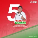 Pedro Ripalda - @pedro_ripalda - Instagram
